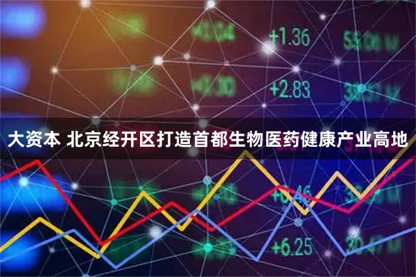 大资本 北京经开区打造首都生物医药健康产业高地