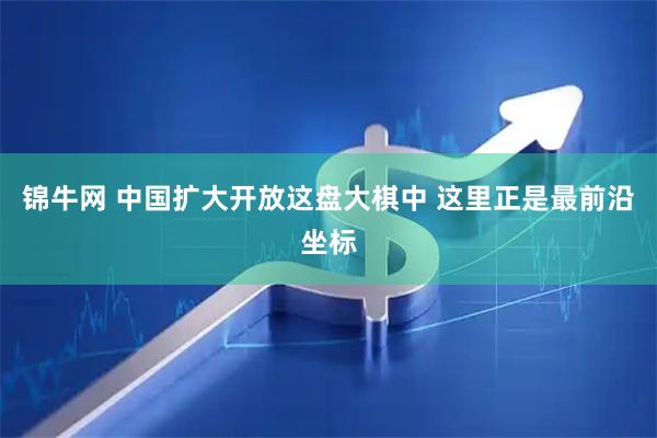 锦牛网 中国扩大开放这盘大棋中 这里正是最前沿坐标