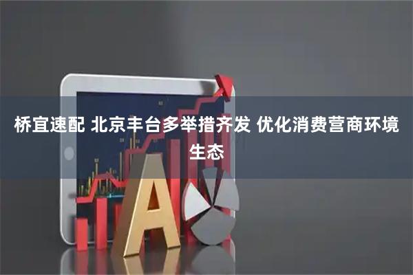桥宜速配 北京丰台多举措齐发 优化消费营商环境生态