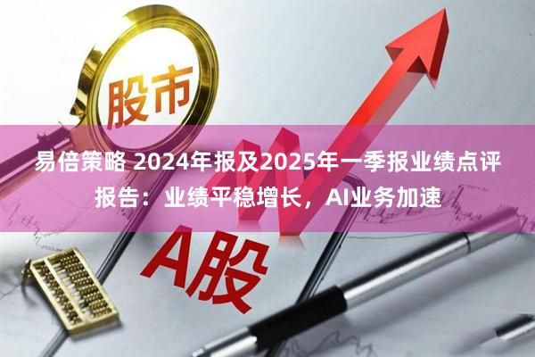 易倍策略 2024年报及2025年一季报业绩点评报告：业绩平稳增长，AI业务加速