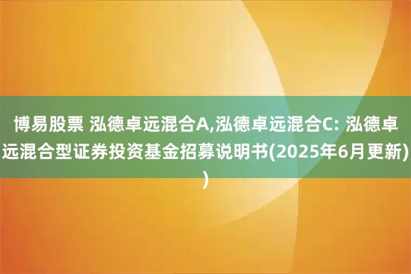 博易股票 泓德卓远混合A,泓德卓远混合C: 泓德卓远混合型证券投资基金招募说明书(2025年6月更新)