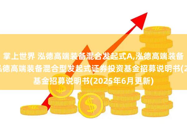 掌上世界 泓德高端装备混合发起式A,泓德高端装备混合发起式C: 泓德高端装备混合型发起式证券投资基金招募说明书(2025年6月更新)