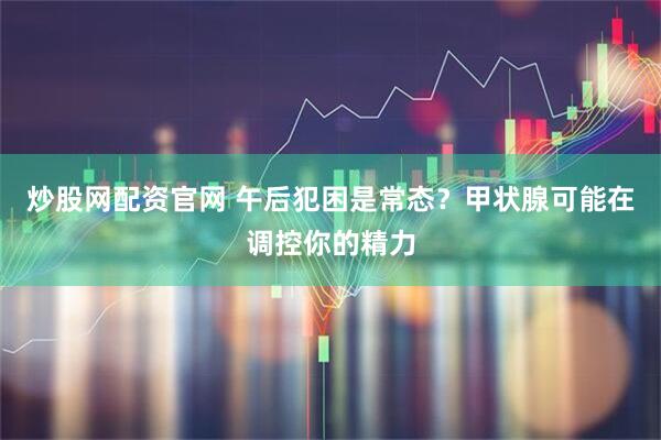 炒股网配资官网 午后犯困是常态？甲状腺可能在调控你的精力